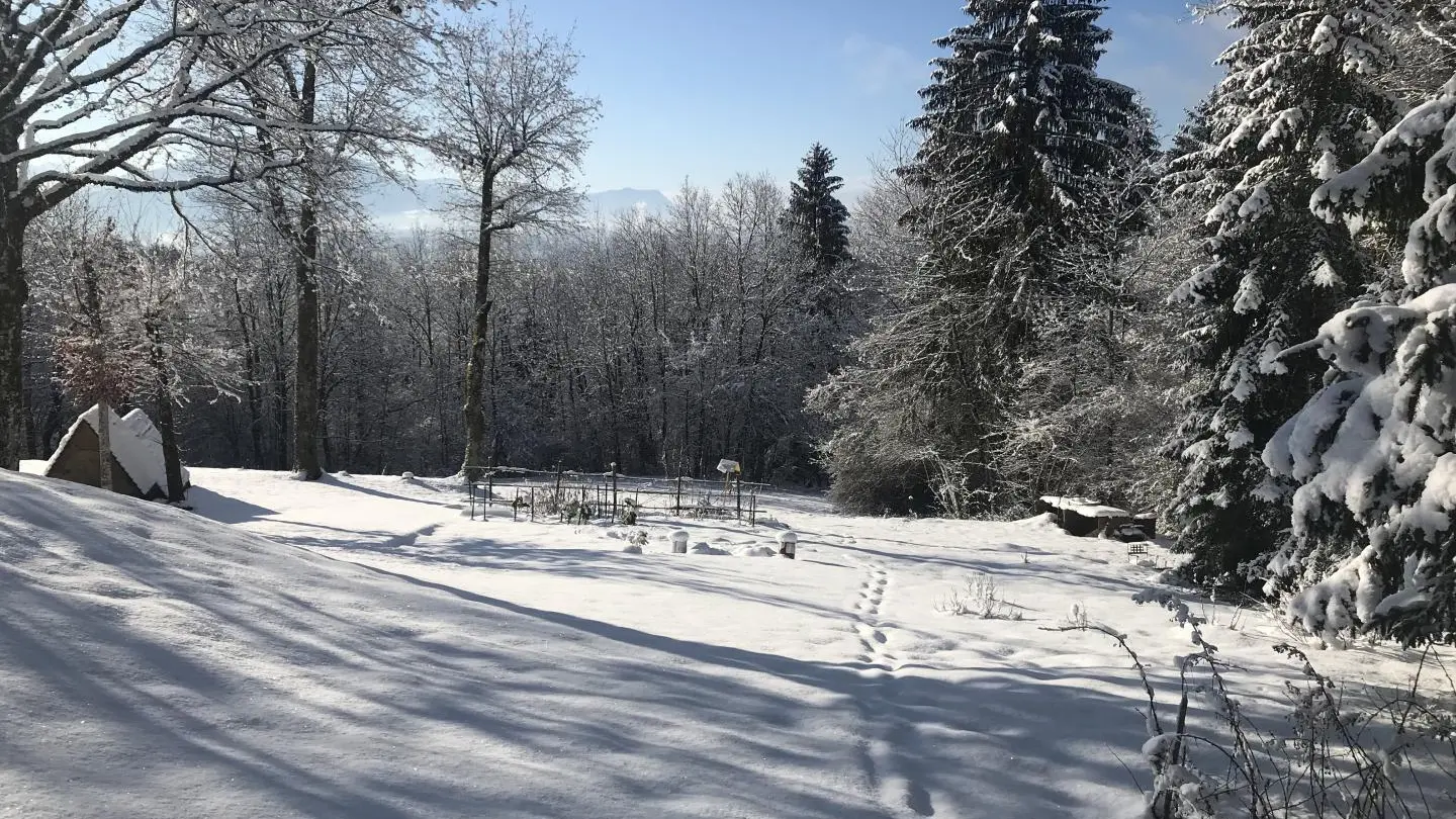 Jardin sous la neige