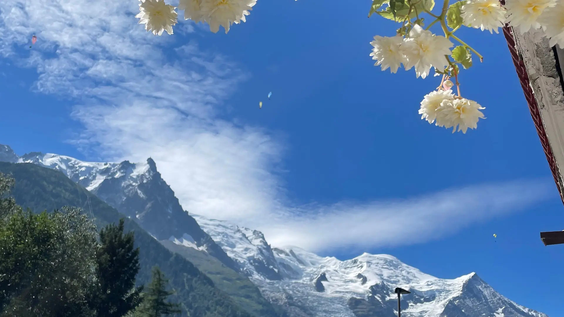 Vue depuis cour intérieure