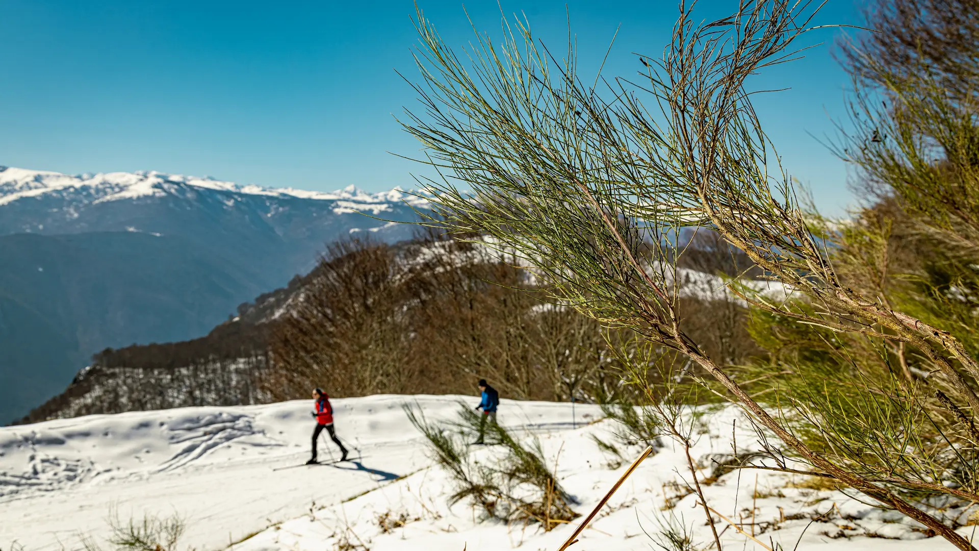 ski nordique à deux