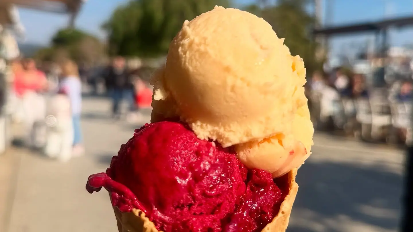 Casa Del Gelato_Bandol