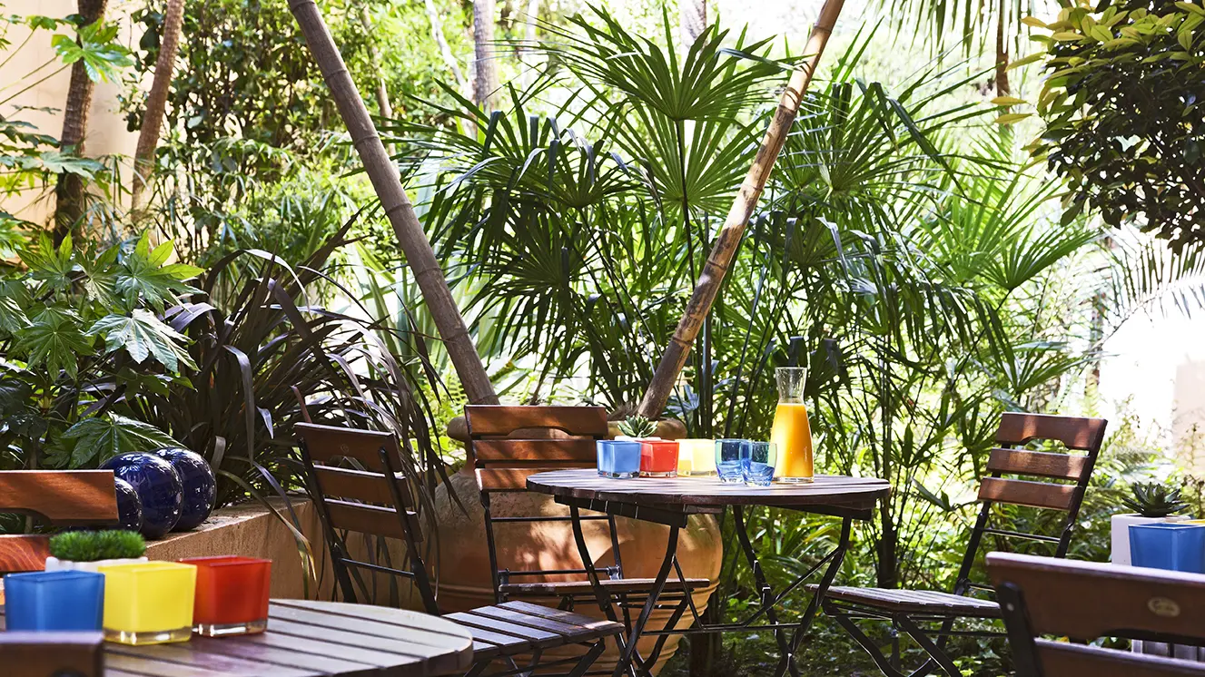 TERRASSE INTERIEURE