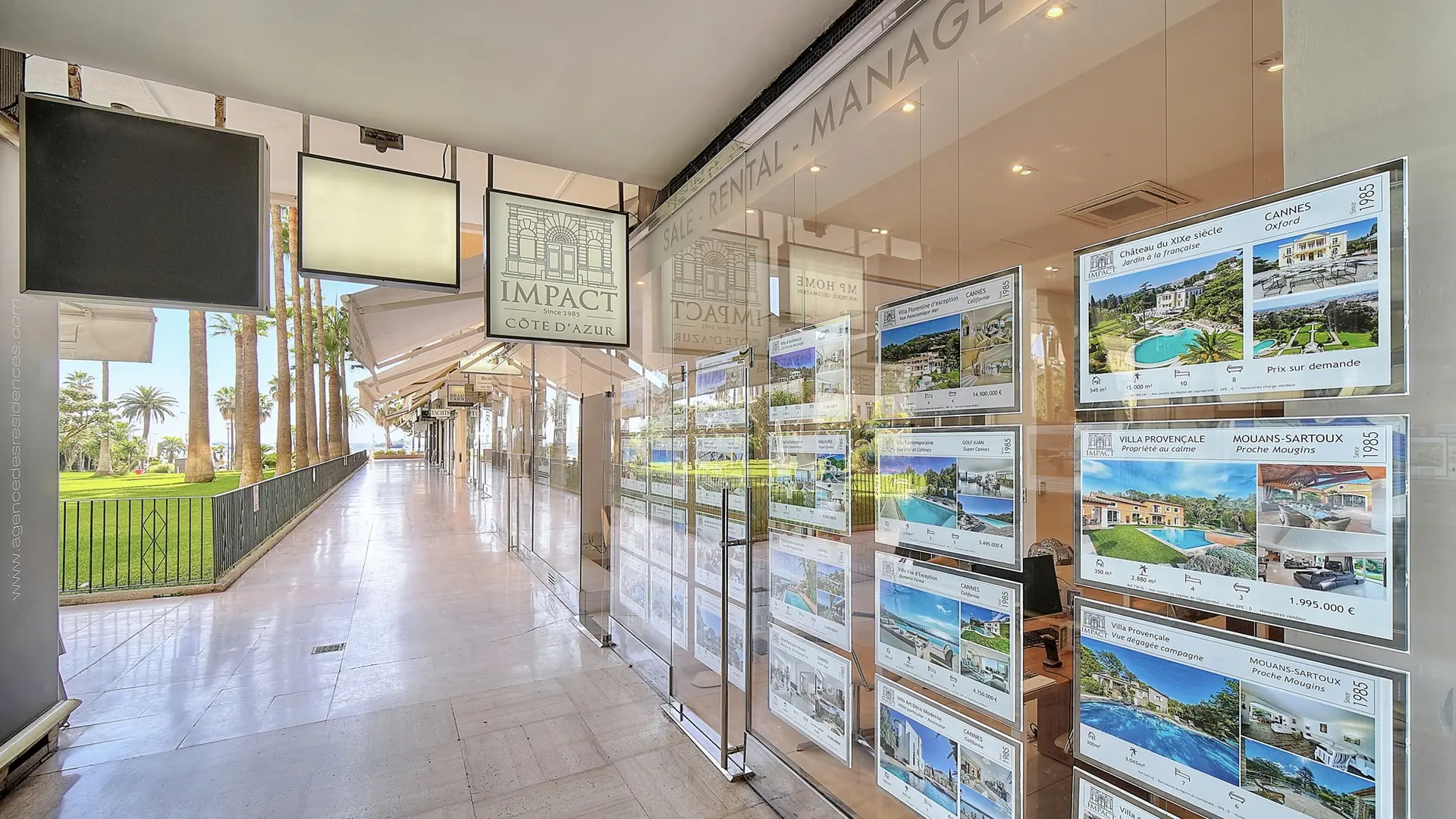 Impact Cannes_Cannes