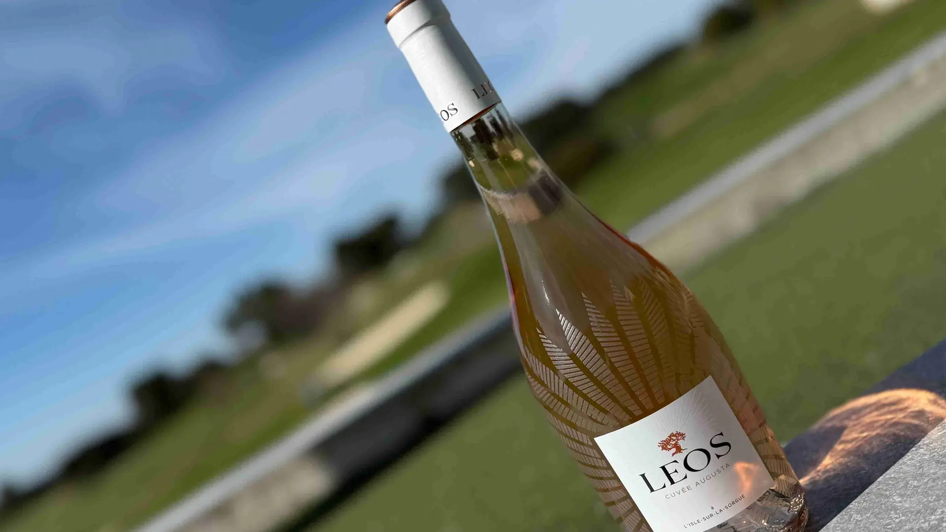 B2 Restaurant_Fontaine-de-Vaucluse bouteille rosé Leos