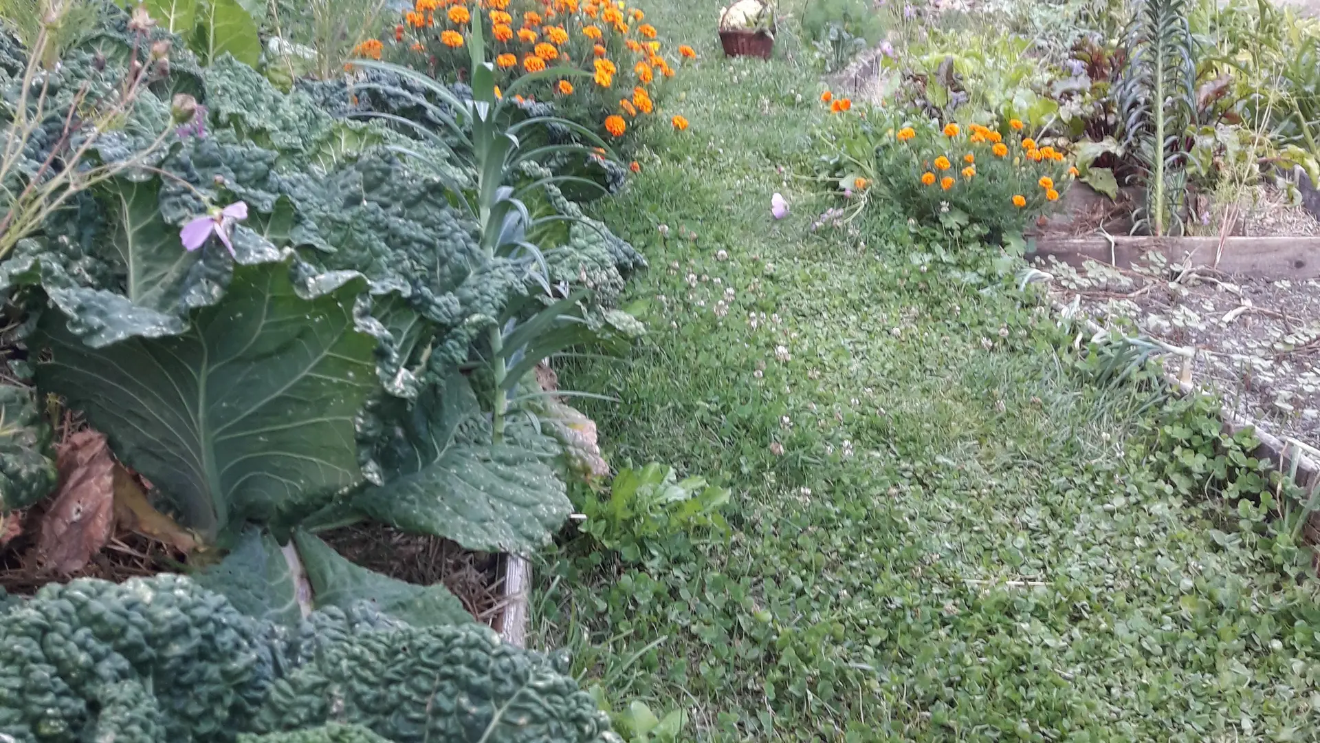 Gîte d'étape de Méolans