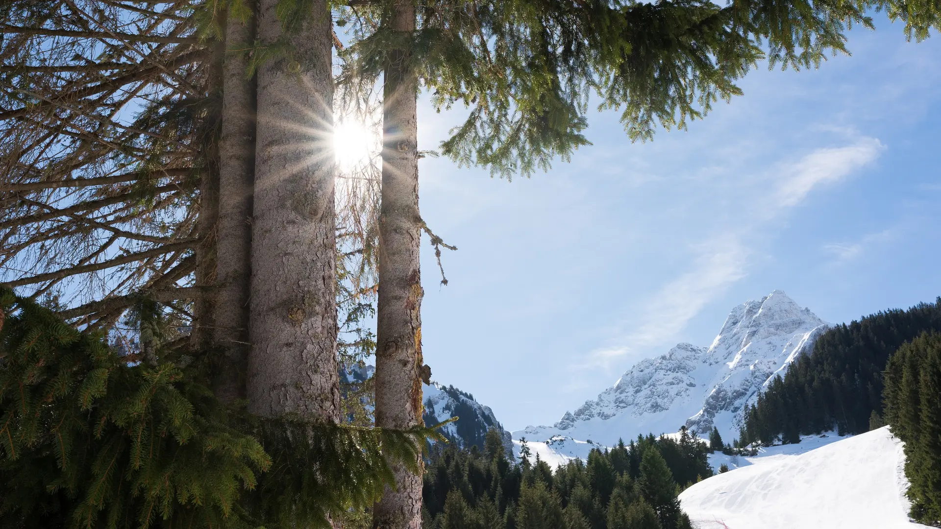 Vue depuis les pistes