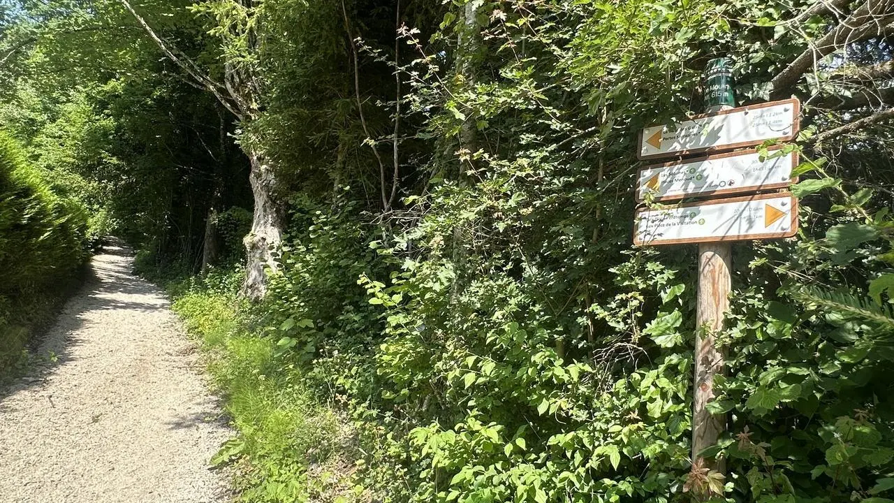 Des randonnées au départ du gîte