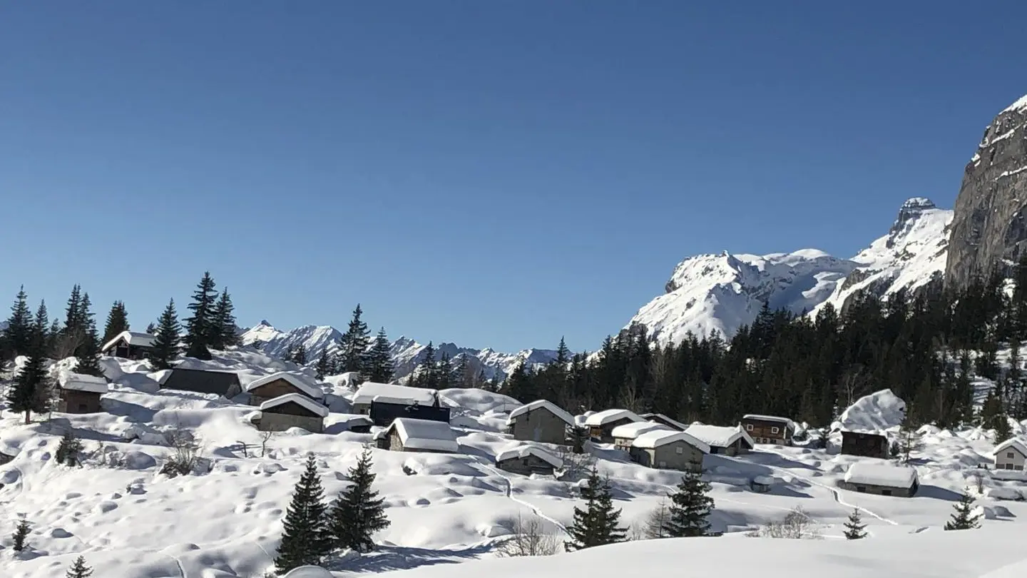 sortie raquettes ou ski de rando