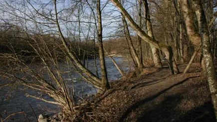 Les Bords de l'Arve