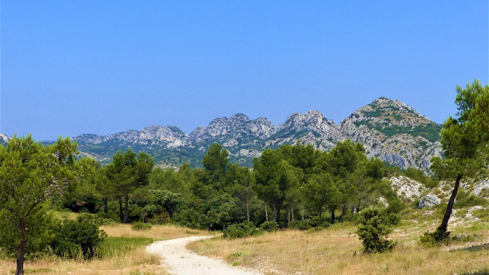 Vue sur la crête des Alpilles