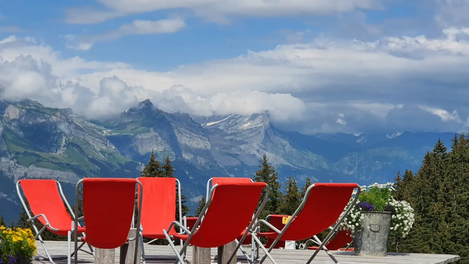 restaurant - terrasse