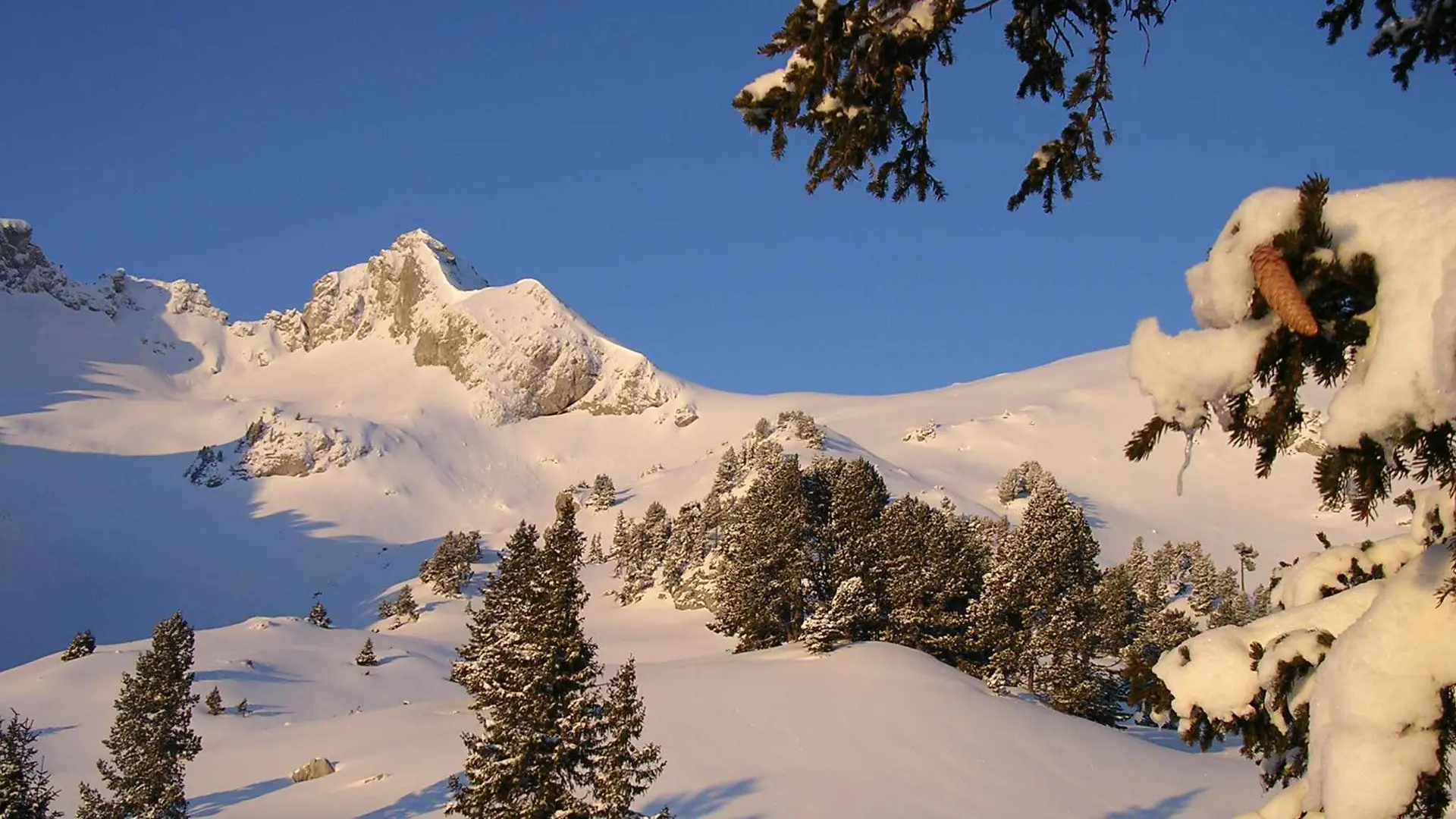 Randonnée pédestre : Aller-retour Aulp de Seythenex_Faverges-Seythenex