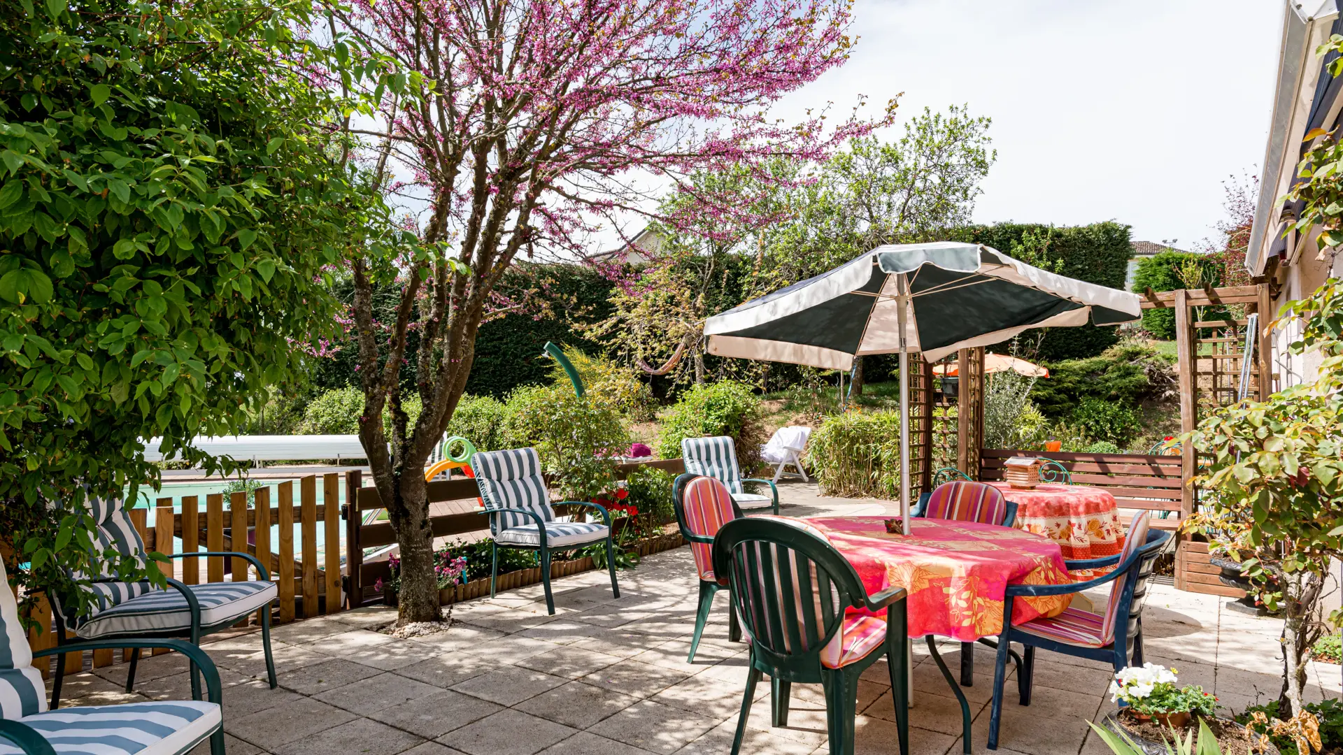 Terrasse avec piscine en fond, arbre de Judée en fleurs, table chaleureuse, 4 fauteuils et parasol