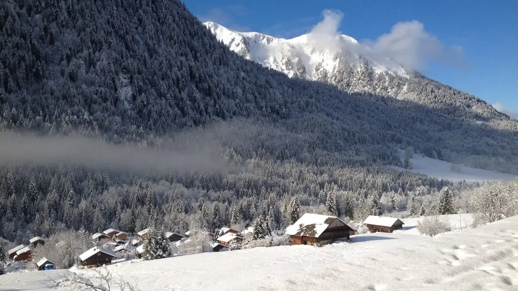 Vue vallée du rez de jardin