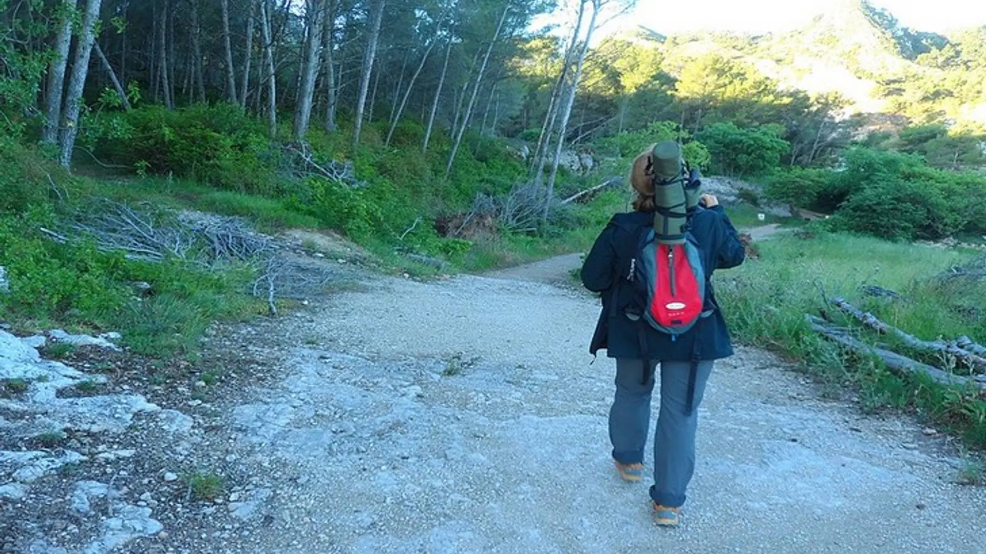 À la découverte des oiseaux