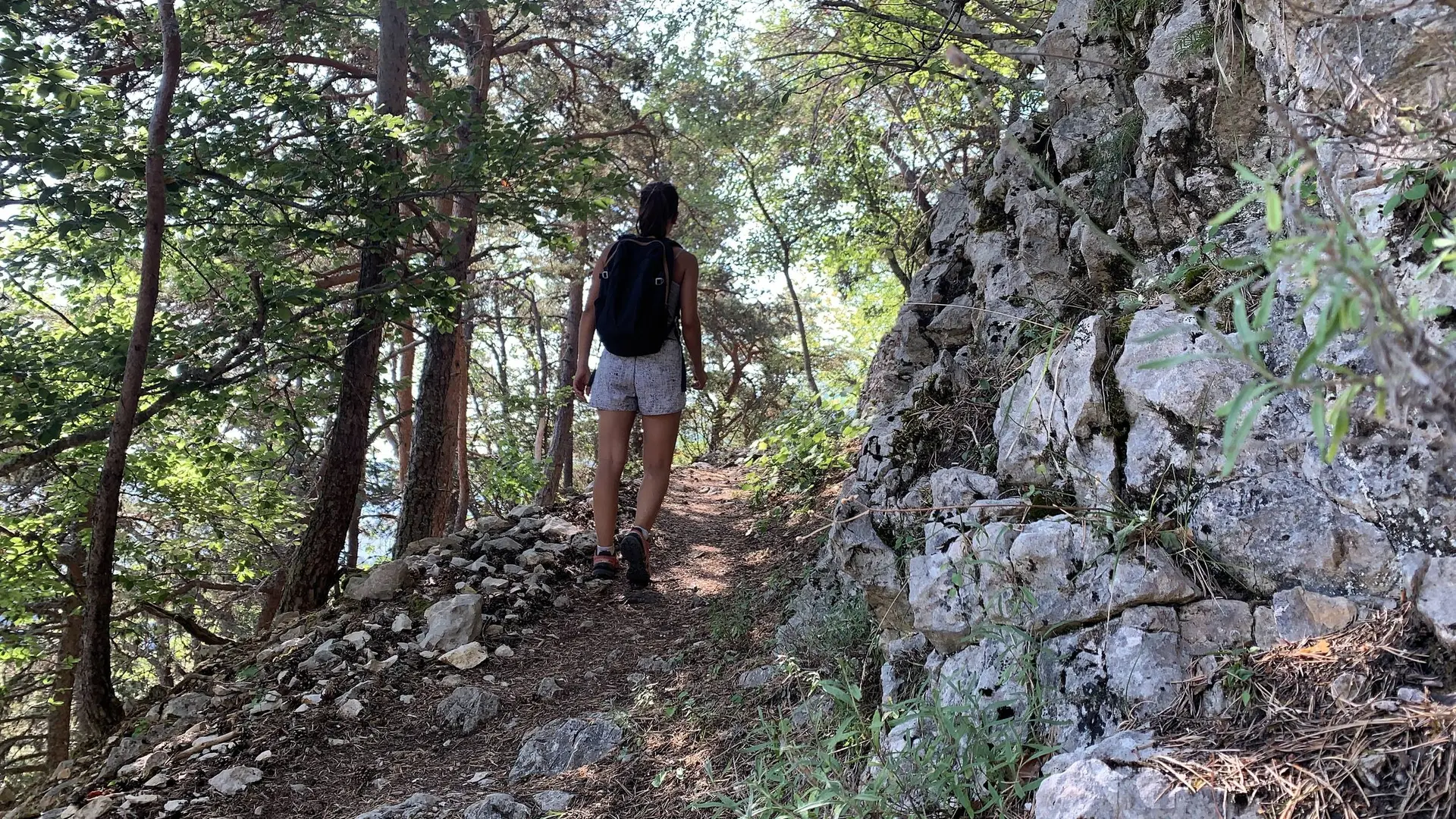 Sentier en sous bois