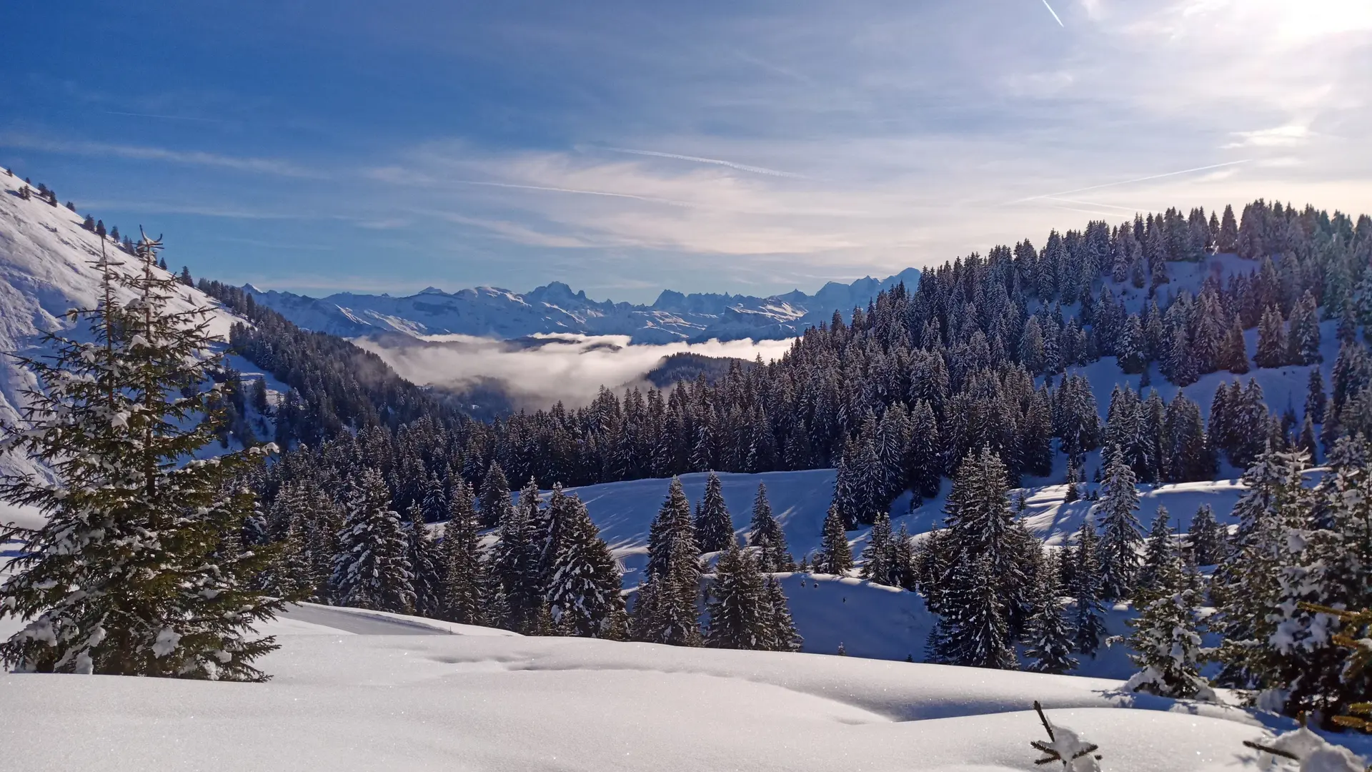 Vue sur la vallée