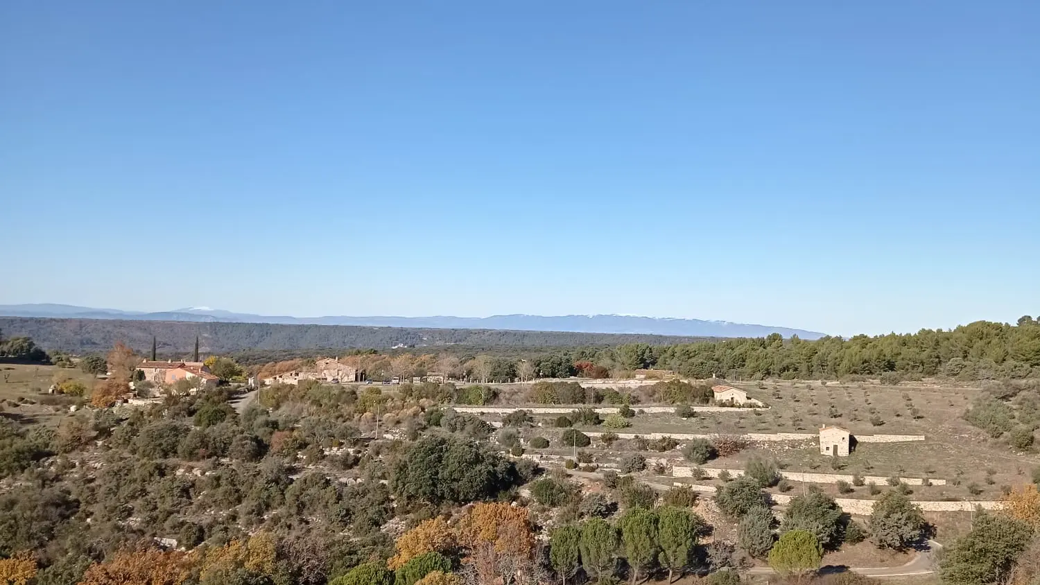 Oliveraie de Baudinard