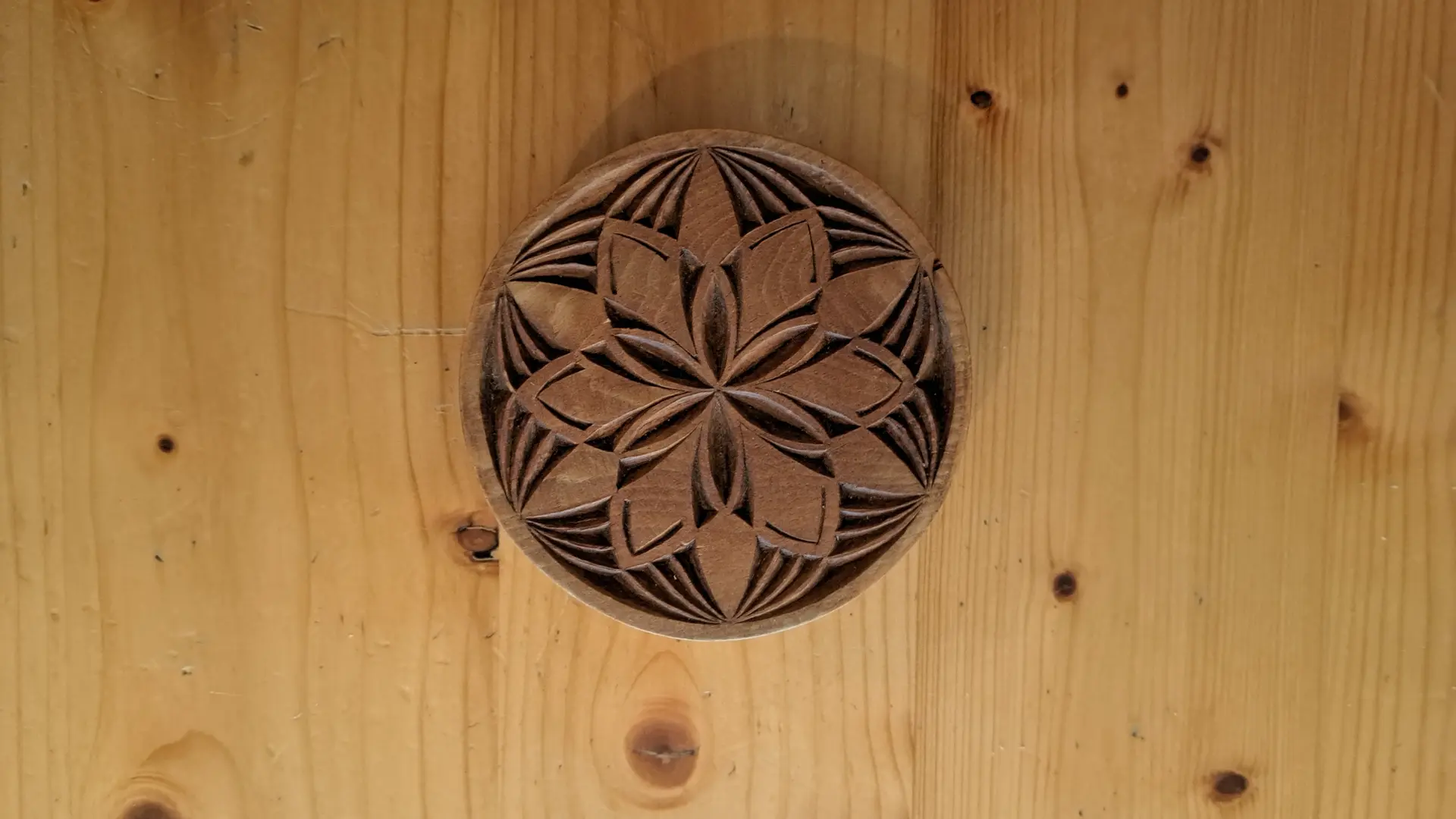 Scintiller au fil des saisons
