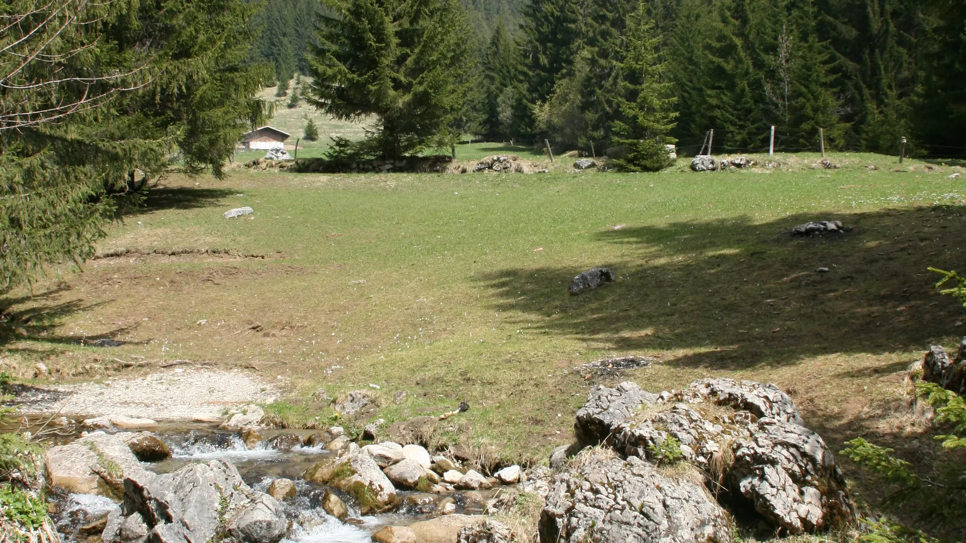 Stream Chevenne - La Chapelle d'Abondance