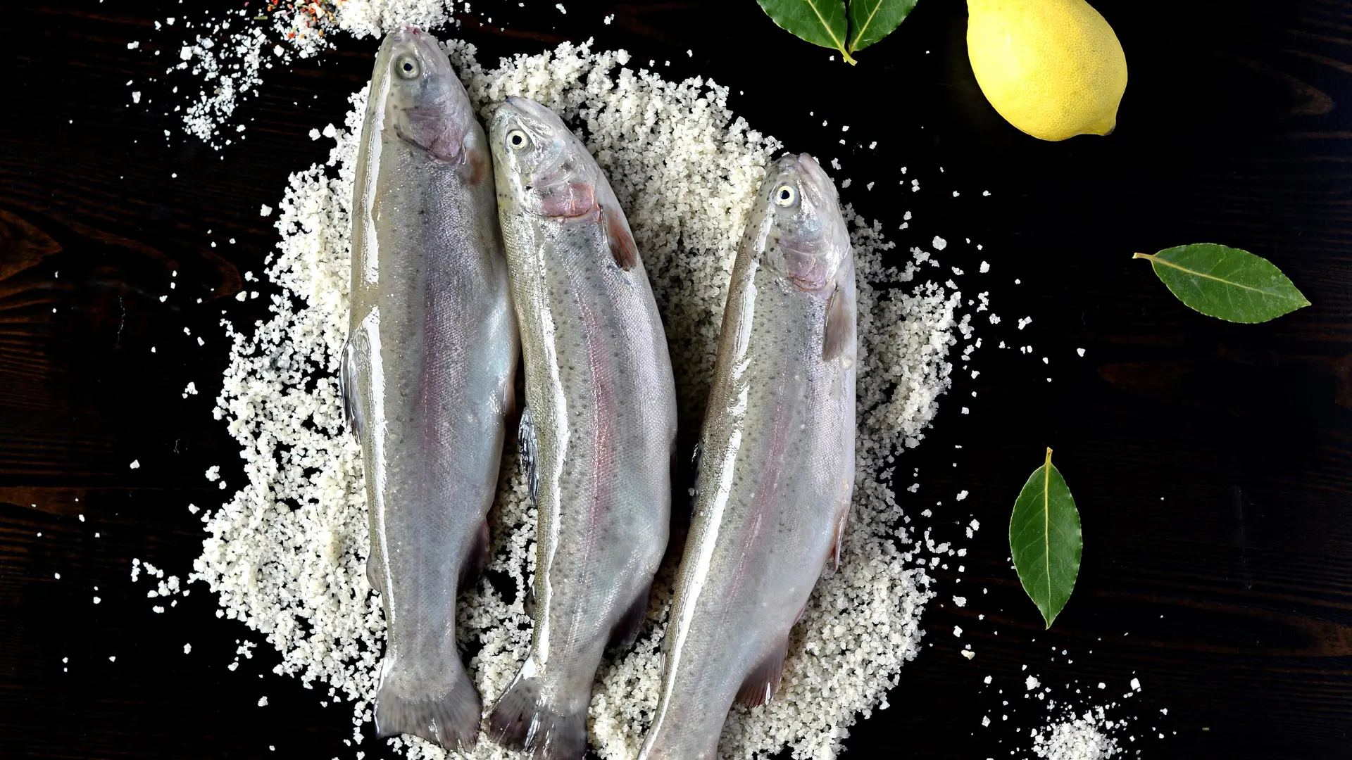 Truites portions - Pisciculture des Ecrins CHÂTEAUROUX-LES-ALPES