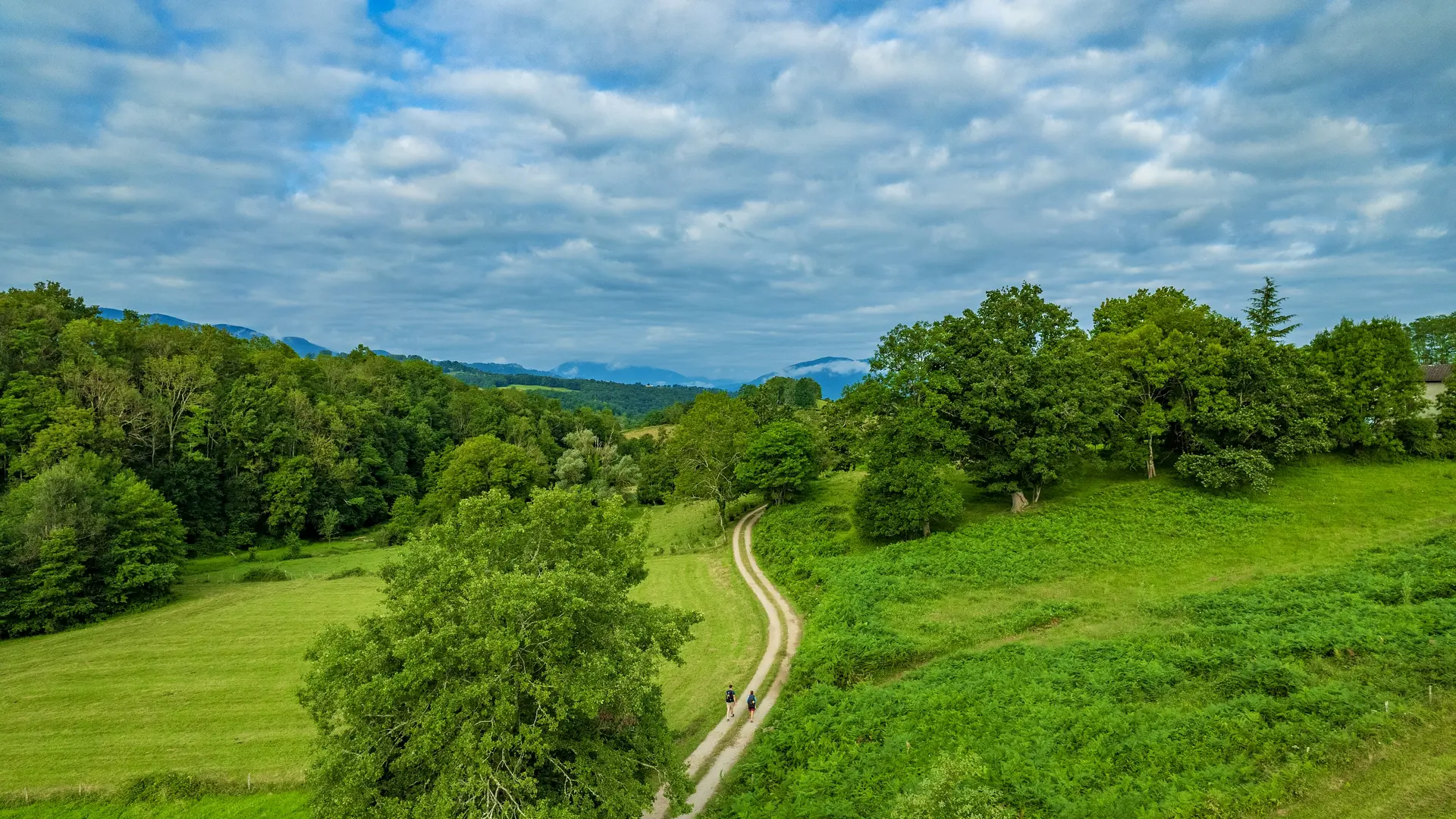 Chemin Lescure à Rimont