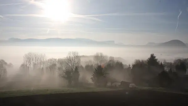 Un matin dans la brume...