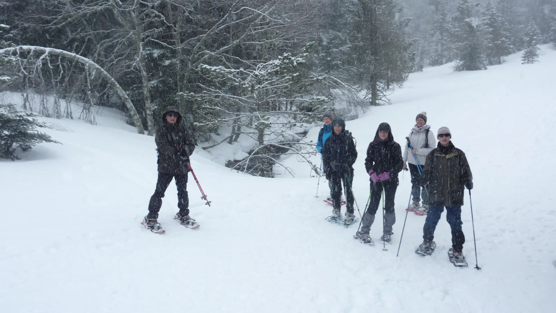 Raquettes à neige