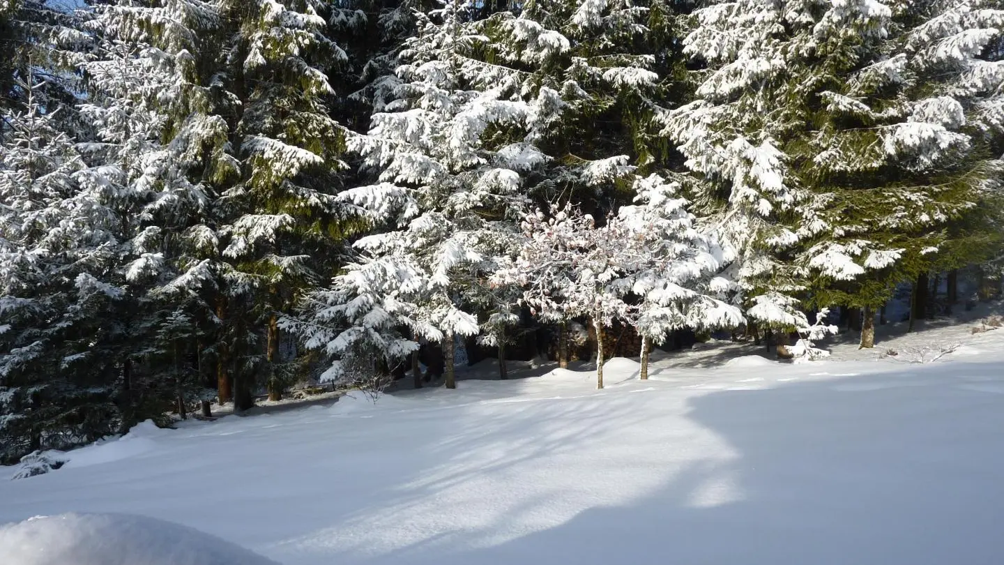 Vue côté terrasse hiver