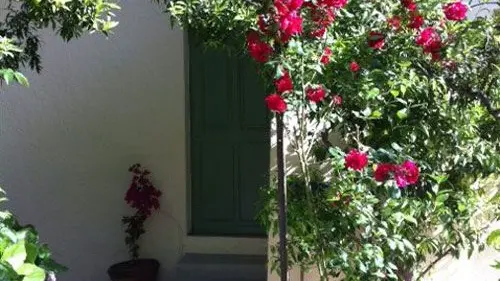 Gîte L'Orangeraie-Porte d'entrée-Vallauris Golfe Juan-Gîtes de France Alpes-Maritimes