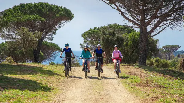 Rando en VTT électrique avec guide environ 3h