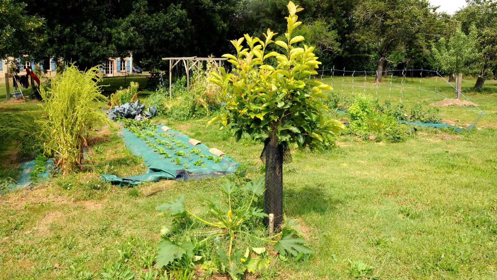 Jardin2-du-grand-breton