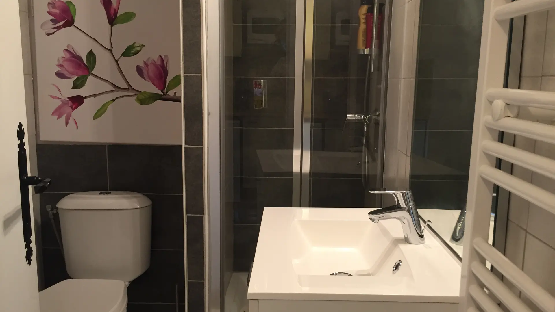 Salle d'Eau avec WC et Machine à laver