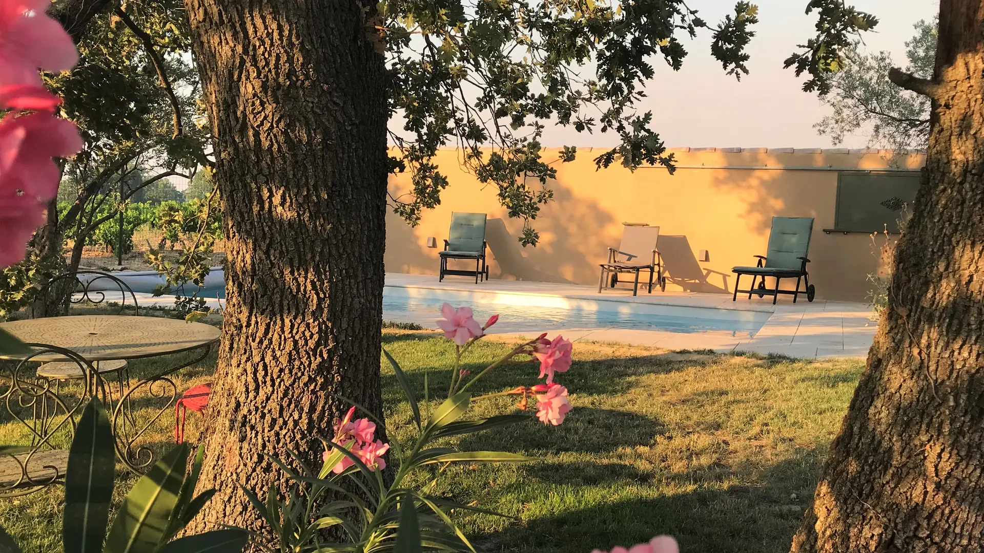 Le Clos - Courthézon