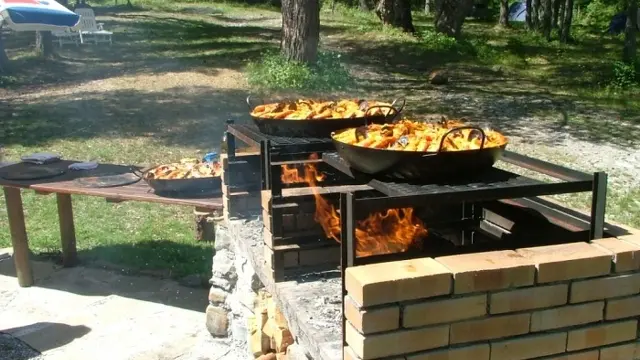 Gîte Les Pinées CHÂTEAUROUX-LES-ALPES