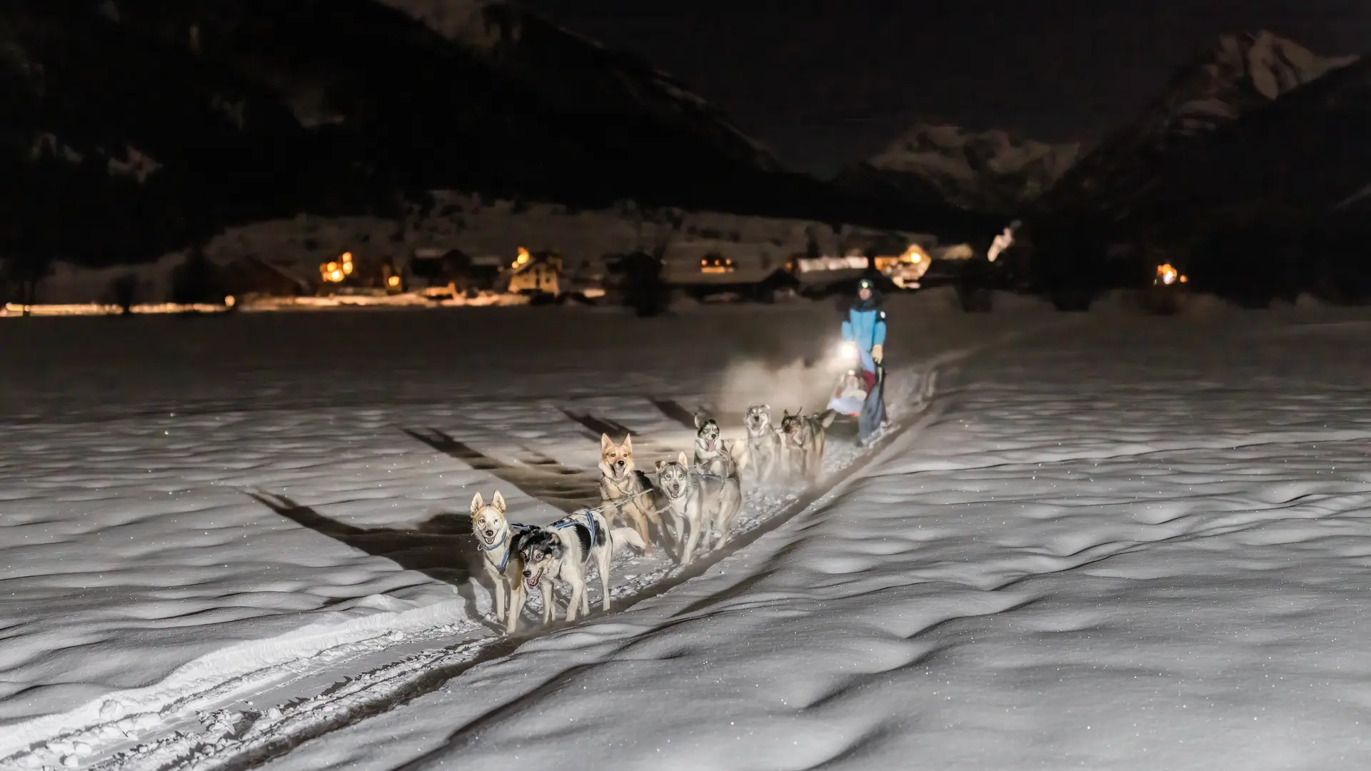 Chiens de traineau de nuit - Empreinte Nordique