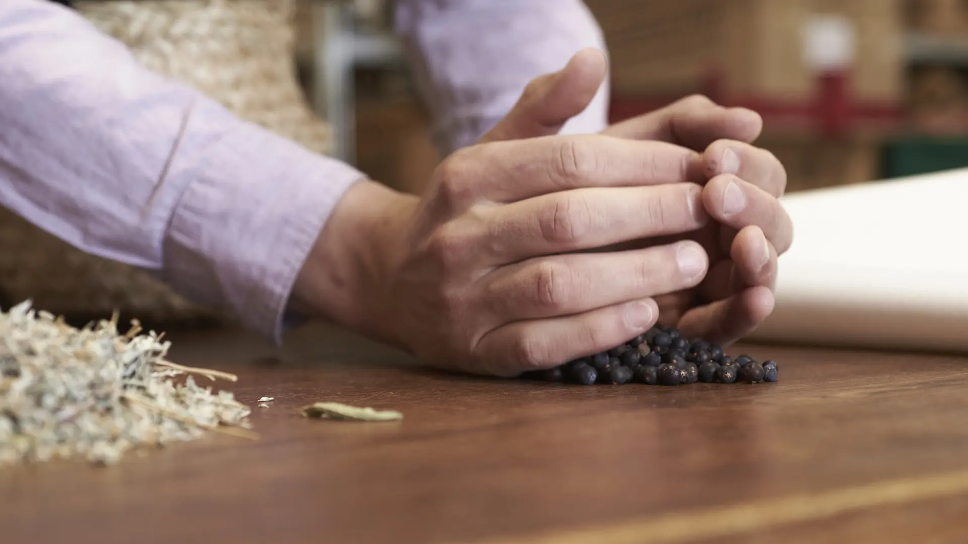 Atelier pastis