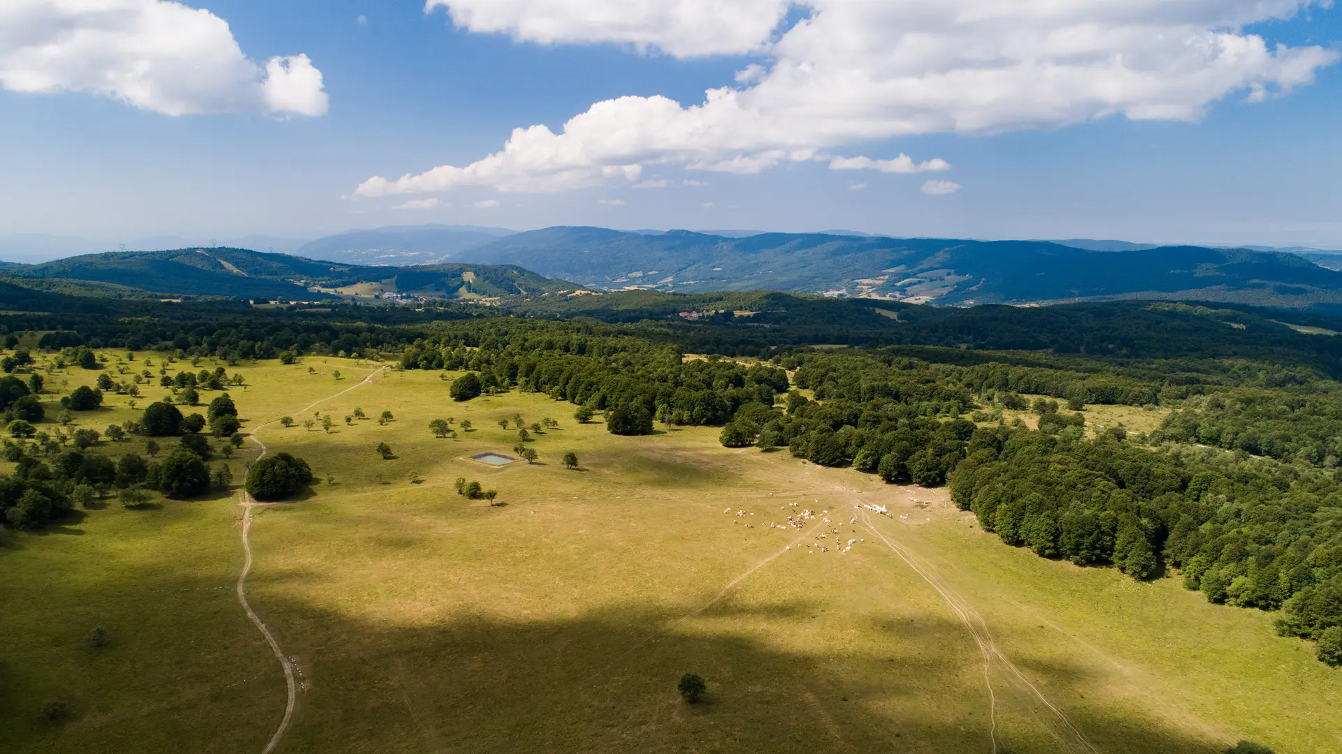 Parcours VTT 15 noir - Le grand tour du plateau de Retord - Espace FFC Ain Forestière_Haut Valromey