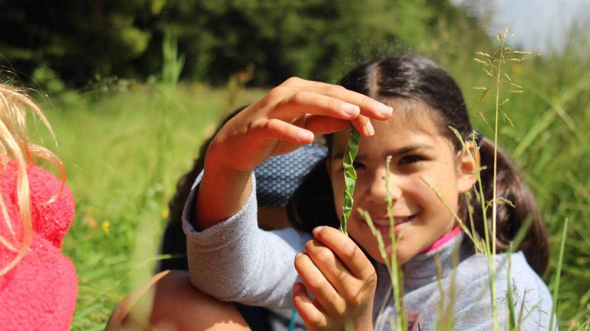 enfants Ruche à gîter