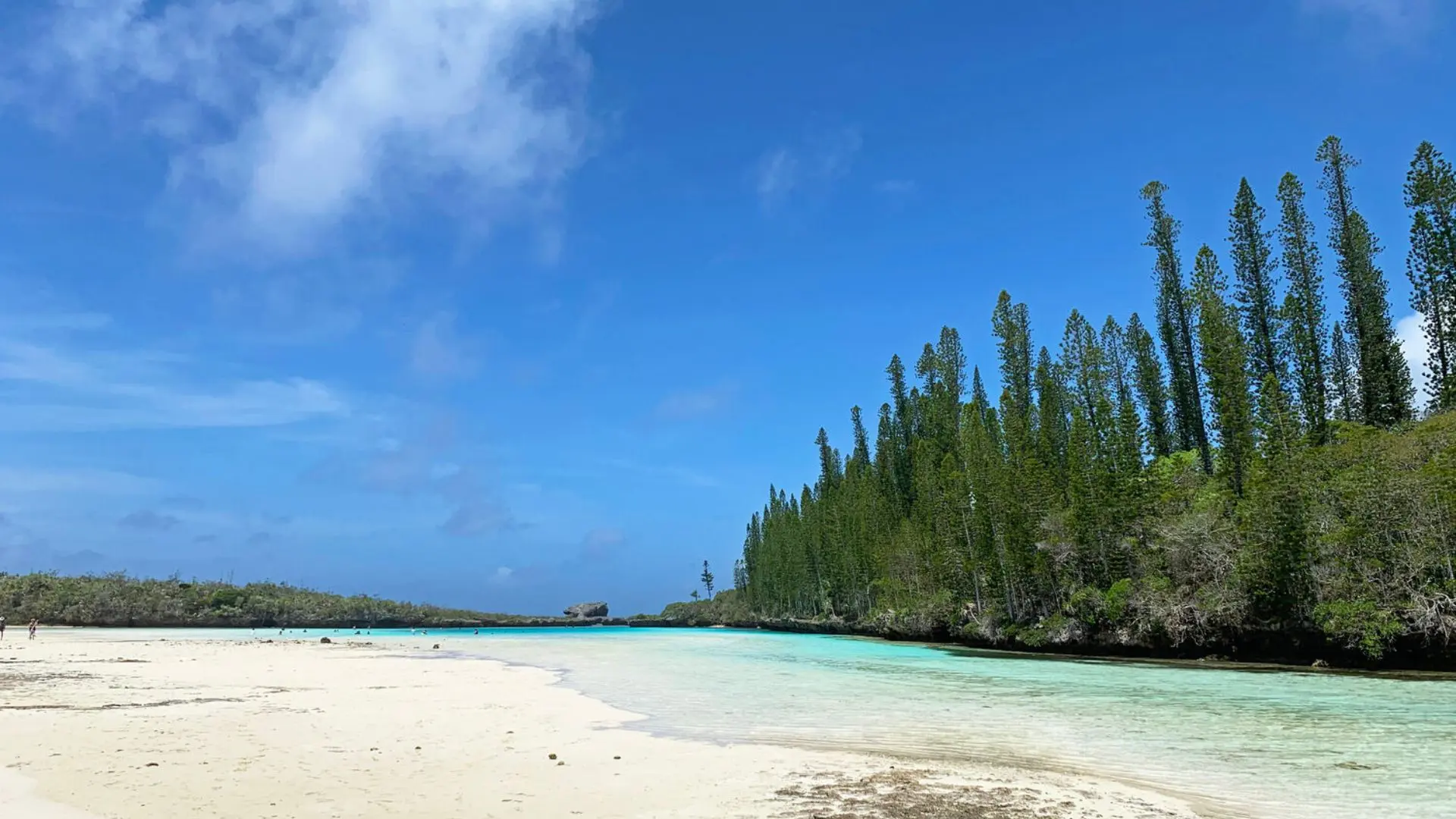 La piscine naturelle