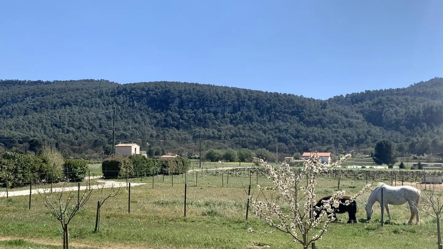 Vue de la terrasse du gîte.