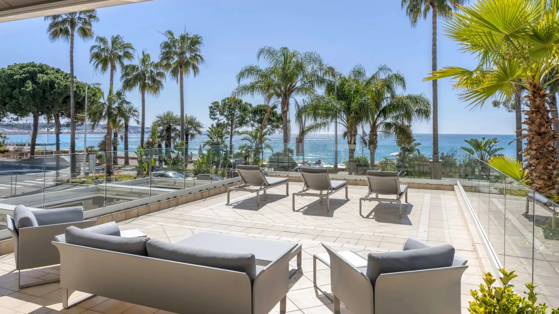 Impact Cannes_Cannes