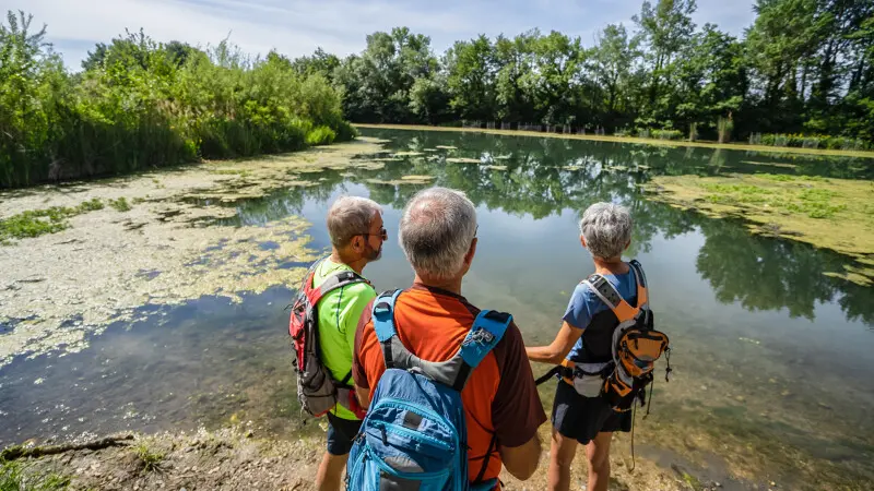 rando sur les rives du Rhône Châteauneuf du Pape