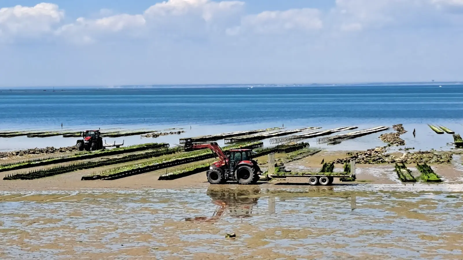Nos parcs - Vue de la cabane