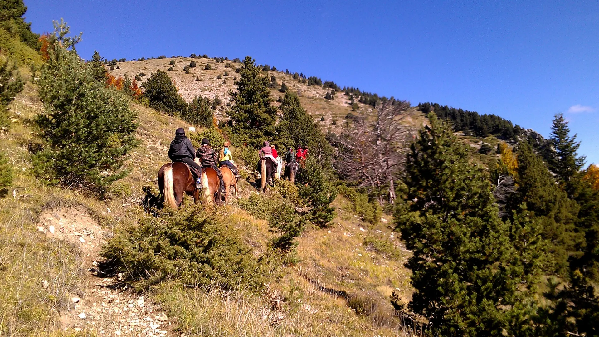 Séjour équestre : Les portes du Dévoluy avec Les Sabots de Vénus