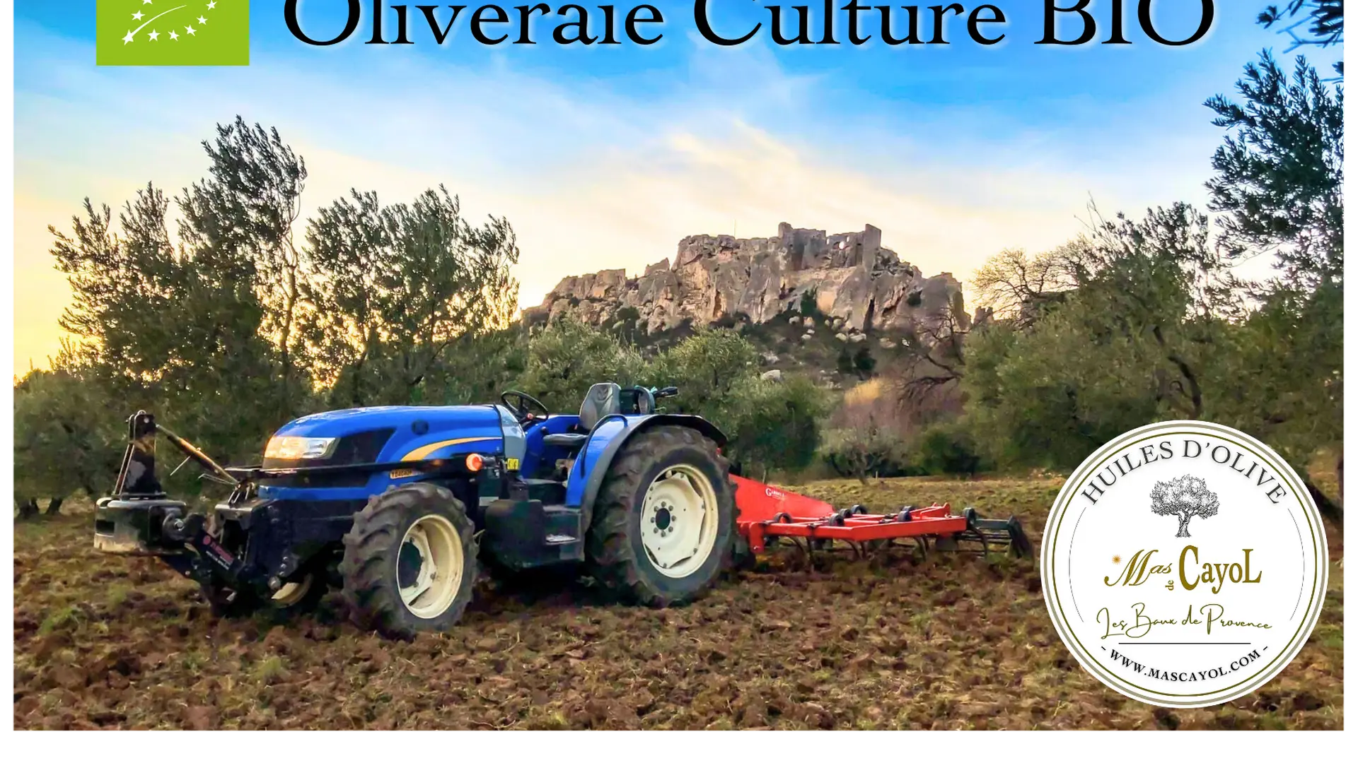 Domaine oléicole Mas de Cayol à Maussane-les-Alpilles