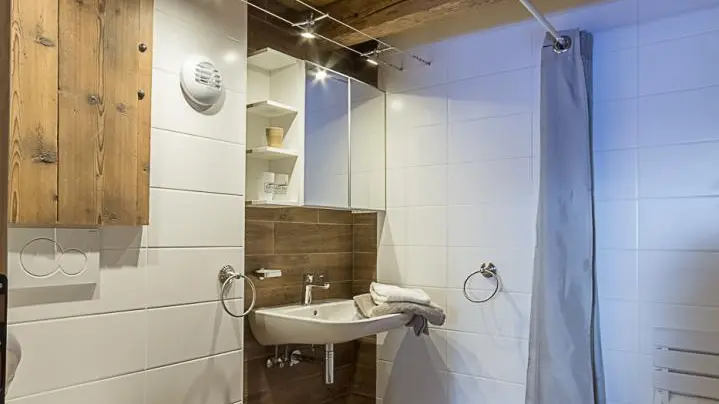 La salle de douche de la chambre Cerf (PMR)