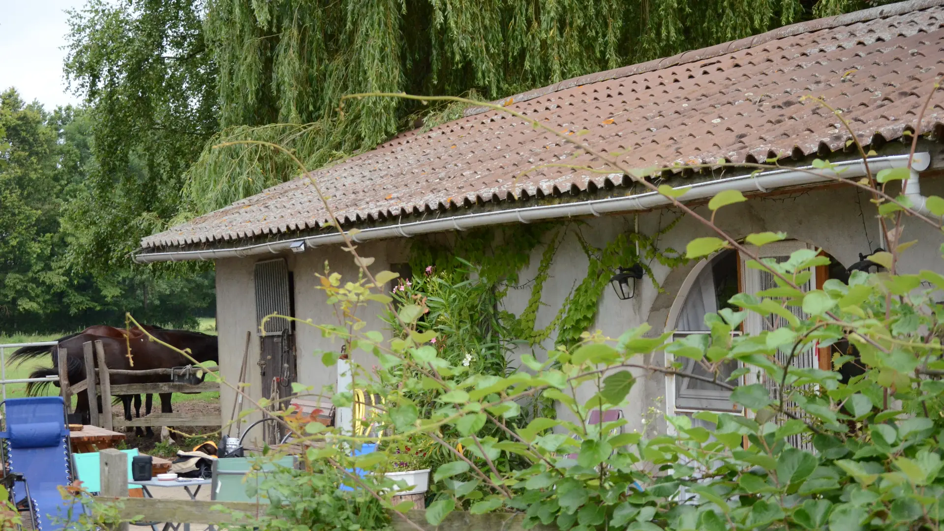 Vue de la maison et des chevaux
