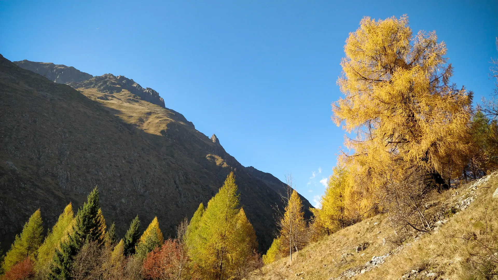 Automne à la cascade du Buchardet