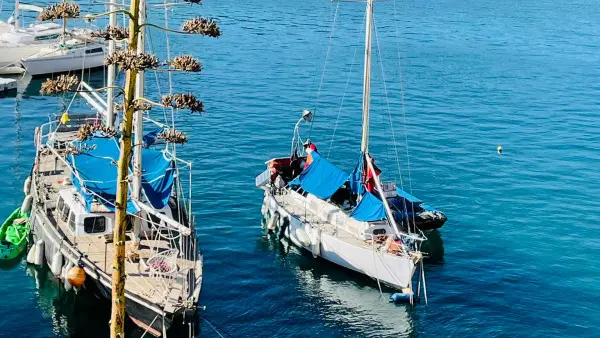 Randonnée Calanques Cassis - demi-journée