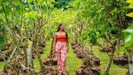 Tahaa Adventure